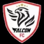 Фалкон ФК U20