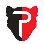 Пантера ФК (до 17 лет)
