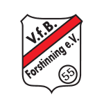 ВфБ Форстиннинг