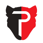Пантера ФК (до 15)