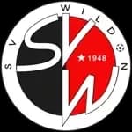 Вильдон
