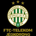 ФТЦ Телеком Будапешт