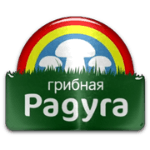 ФК Грибная Радуга Курск