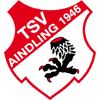 ТСВ Айнdling